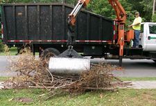 Yard Waste Collection Grabber